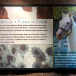 2019_OTRA_0485 (September 01, 2019)